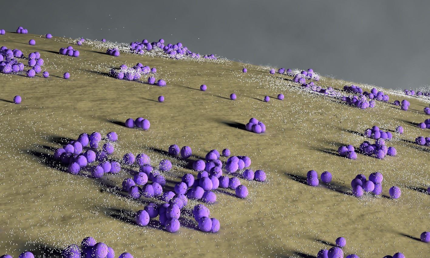 The illustration shows staphylococci in purple on a surface such as skin. The signaling molecules are shown as small white dots. Illustration: Jeppe Paustian.