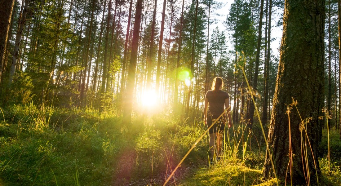 Woman in nature