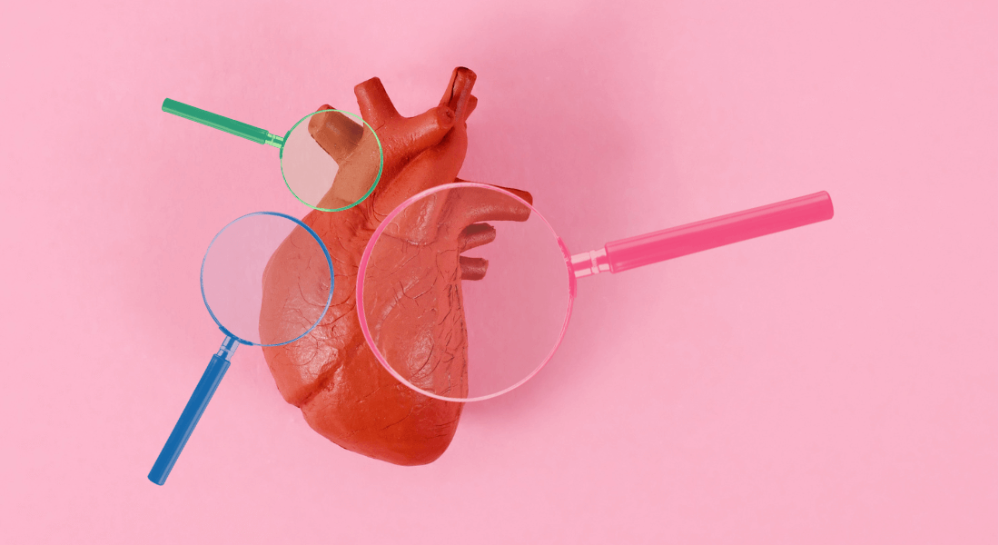 Illustration of an anatomical heart and three looking glasses