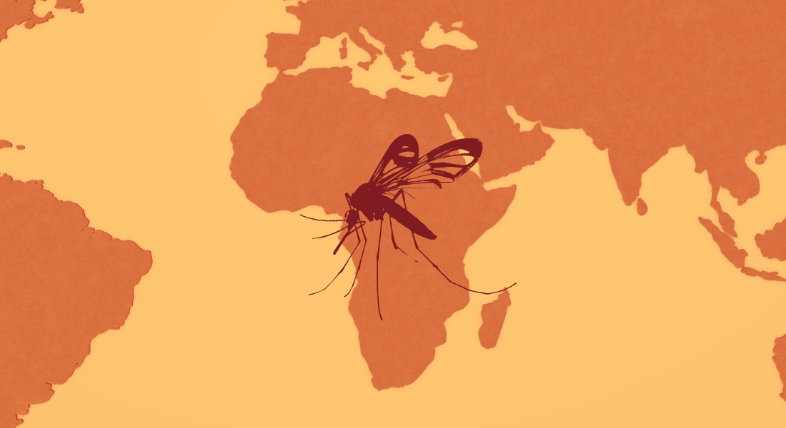 Africa and a mosquito