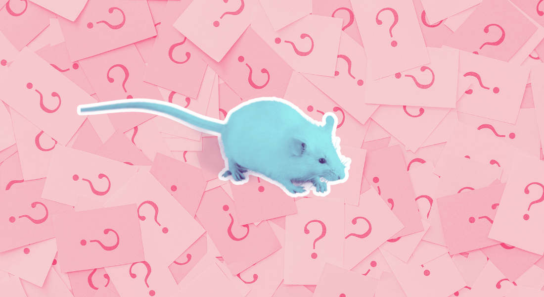 Illustration af mus med spørgsmålstegn i baggrunden