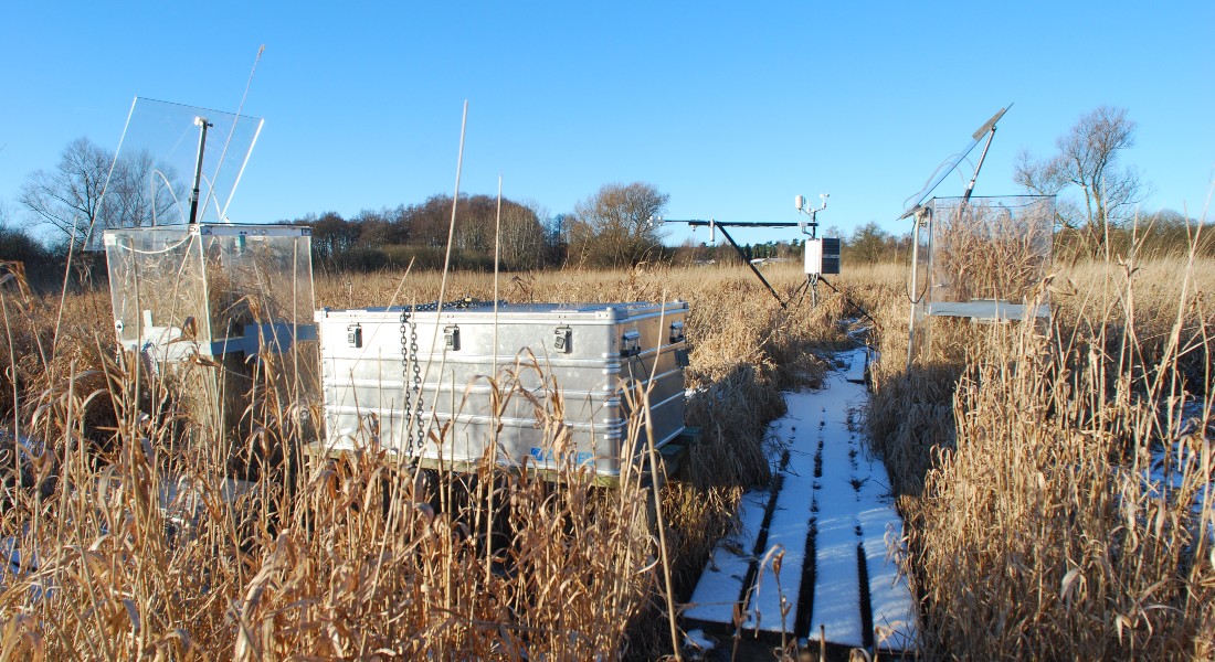 New knowledge is based on measurements and modeling in Maglemosen, a wetland located 20 kilometers north of Copenhagen, which has been undisturbed for more than 100 years and in many ways represents a typical Danish wetland with peat soils. Photo: Bo Elberling