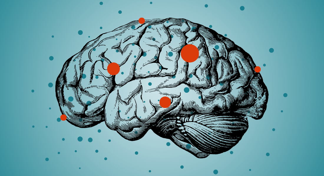 Illustration of brain Illustration of brain