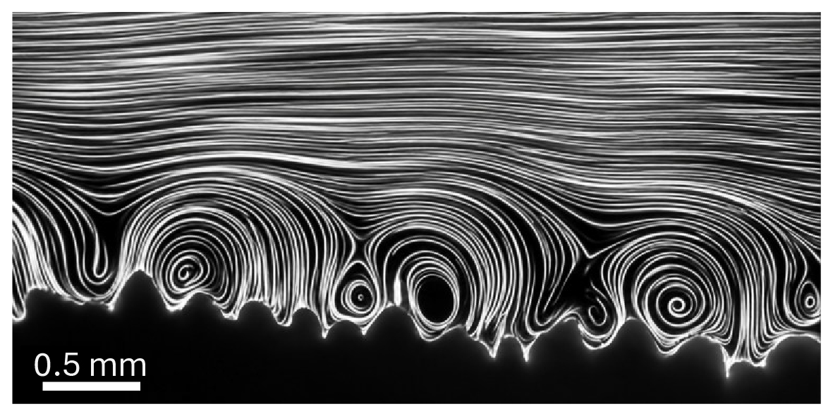 Vortices Vortices