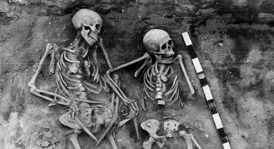 Image of skeletons in plague cemetery in in the Lake Baikal region of East Siberia Image of skeletons in plague cemetery in in the Lake Baikal region of East Siberia