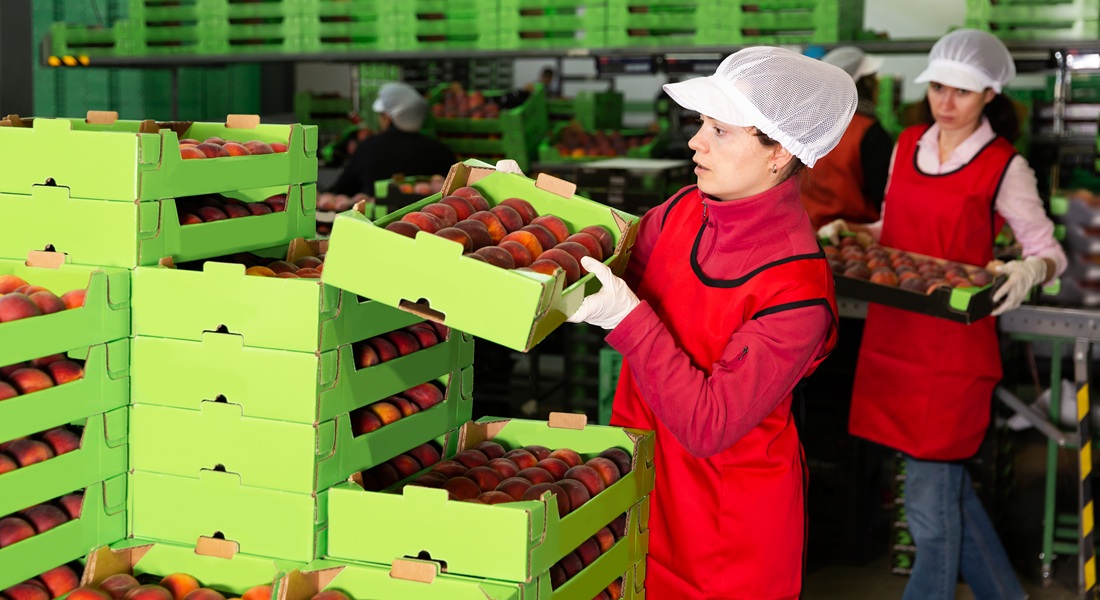 Photo: Getty Images
