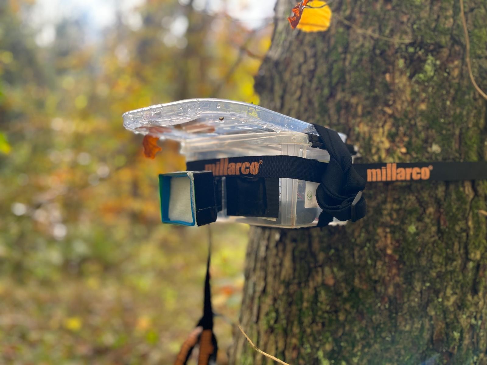 Image of DNA vaccum attached to a tree
