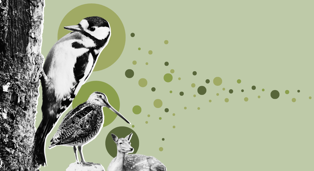 Illustration of floating DNA particles from birds and animals Illustration of floating DNA particles from birds and animals
