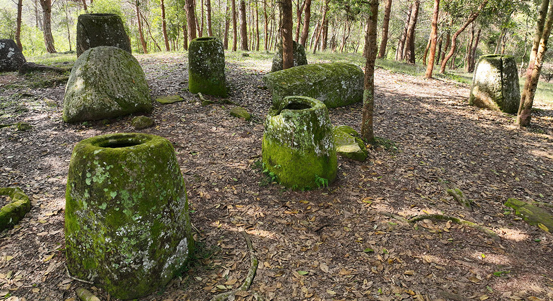 This is the first time the jars have been studied in a biological research context. Photo: Claus Christensen This is the first time the jars have been studied in a biological research context. Photo: Claus Christensen